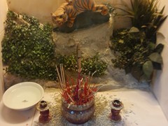 28870203_2047908112147227_4916736310241869323_n